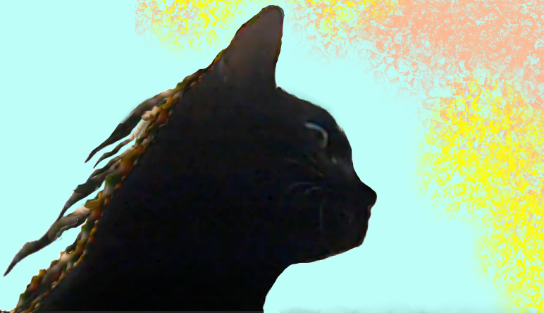 take this wish.png